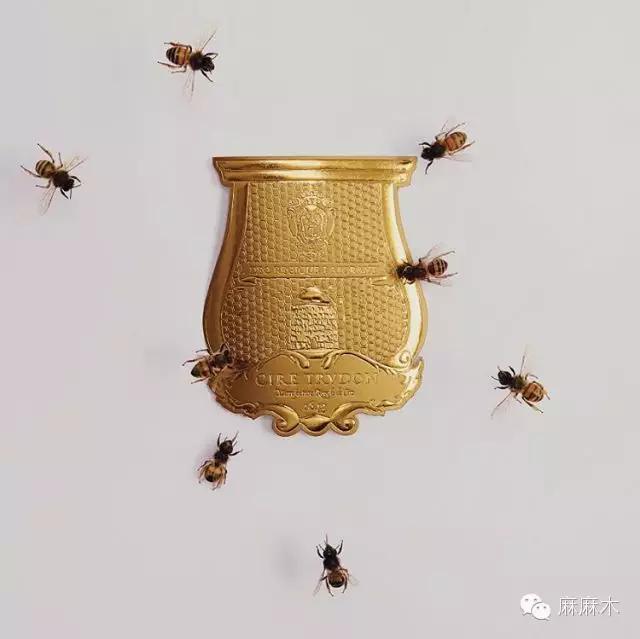 低温蜡烛是干什么用的，低温蜡烛是什么意思（科普，用蜡烛调情）