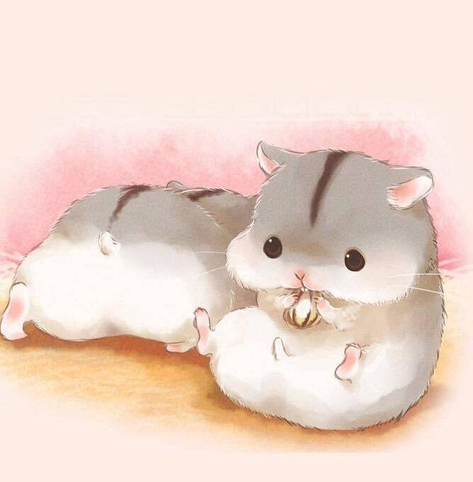 龙猫和老鼠是一类吗，龙猫和老鼠是一类吗动画片（萌化人的龙猫荷兰猪居然是老鼠的亲戚）