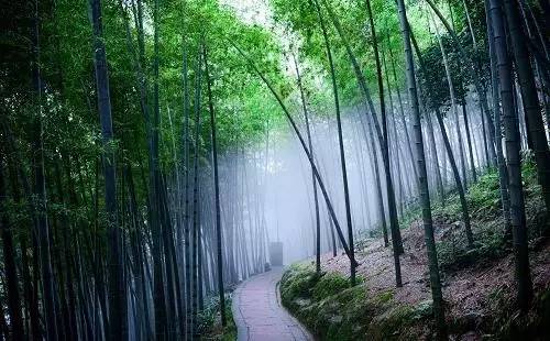 昆明到宜宾(攀枝花长途汽车票网上订票)
