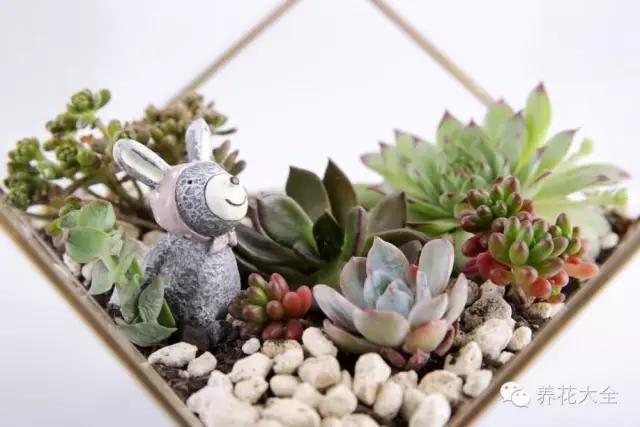 美美哒什么意思，美哒哒是什么意思（35个名词解释）