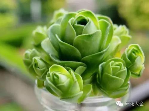 美美哒什么意思，美哒哒是什么意思（35个名词解释）