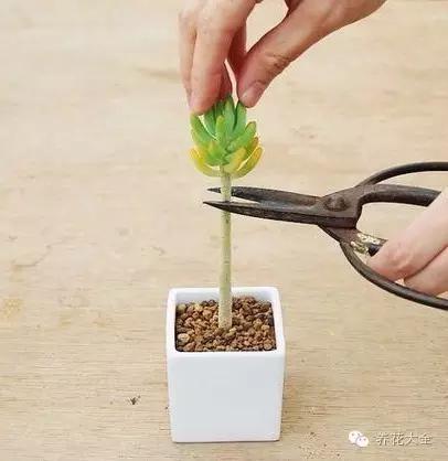 美美哒什么意思，美哒哒是什么意思（35个名词解释）