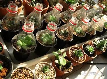 美美哒什么意思，美哒哒是什么意思（35个名词解释）