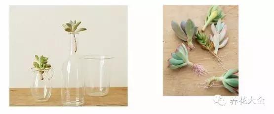 美美哒什么意思，美哒哒是什么意思（35个名词解释）