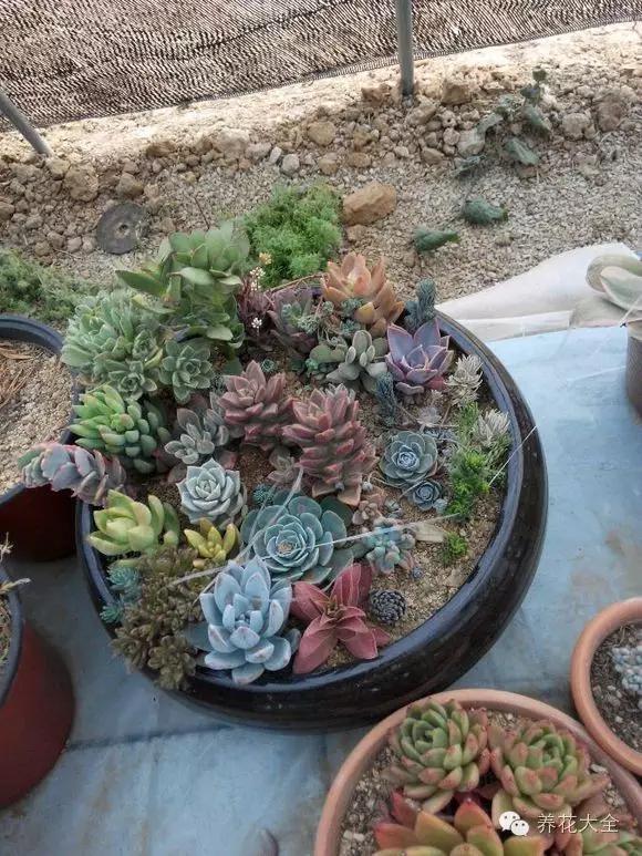 美美哒什么意思，美哒哒是什么意思（35个名词解释）