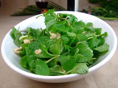 驱蚊薄荷可以食用吗，薄荷可以用来驱蚊吗（做菜、泡水、驱蚊还“治病”）