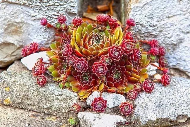 美美哒什么意思，美哒哒是什么意思（35个名词解释）