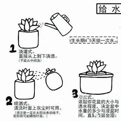 美美哒什么意思，美哒哒是什么意思（35个名词解释）