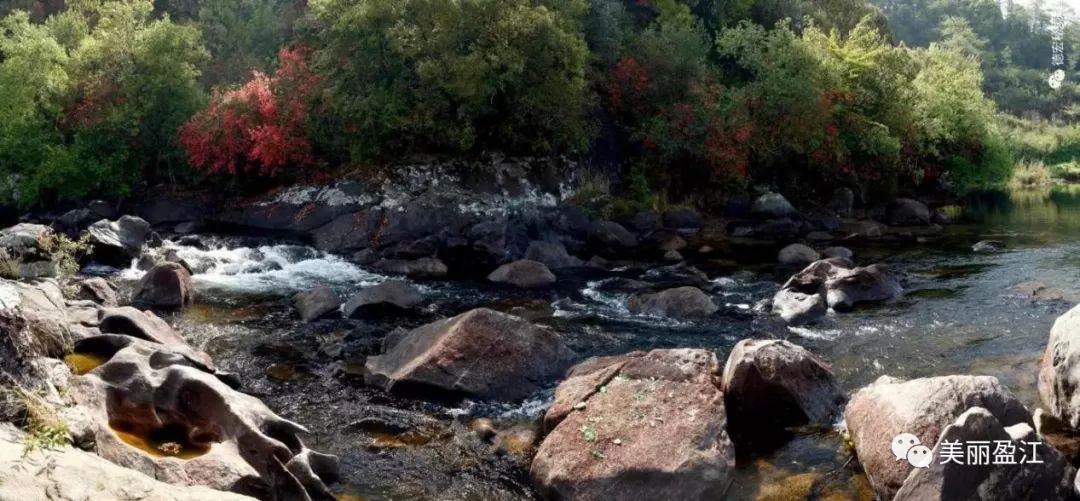 无言歌 风樱雪，求重生父子耽美小说（4月17日“山歌高手”将聚盈江昔马）