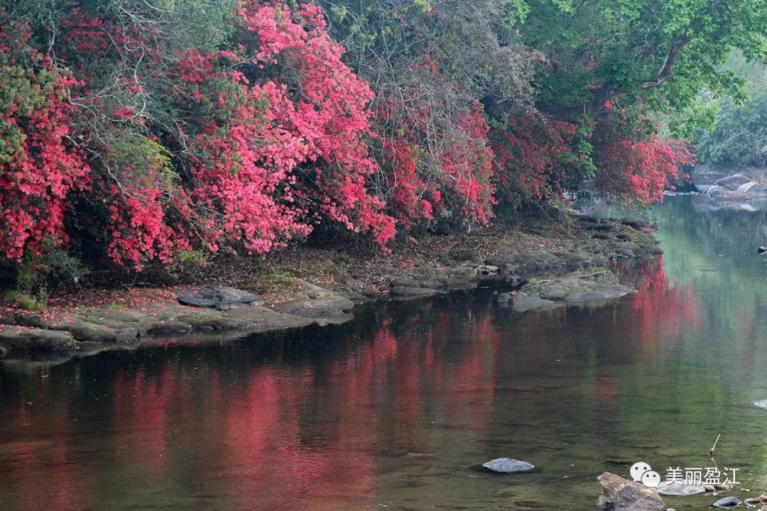 无言歌 风樱雪，求重生父子耽美小说（4月17日“山歌高手”将聚盈江昔马）