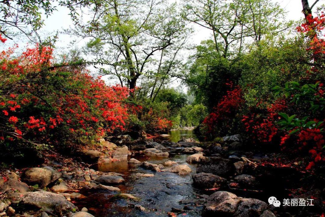 无言歌 风樱雪，求重生父子耽美小说（4月17日“山歌高手”将聚盈江昔马）