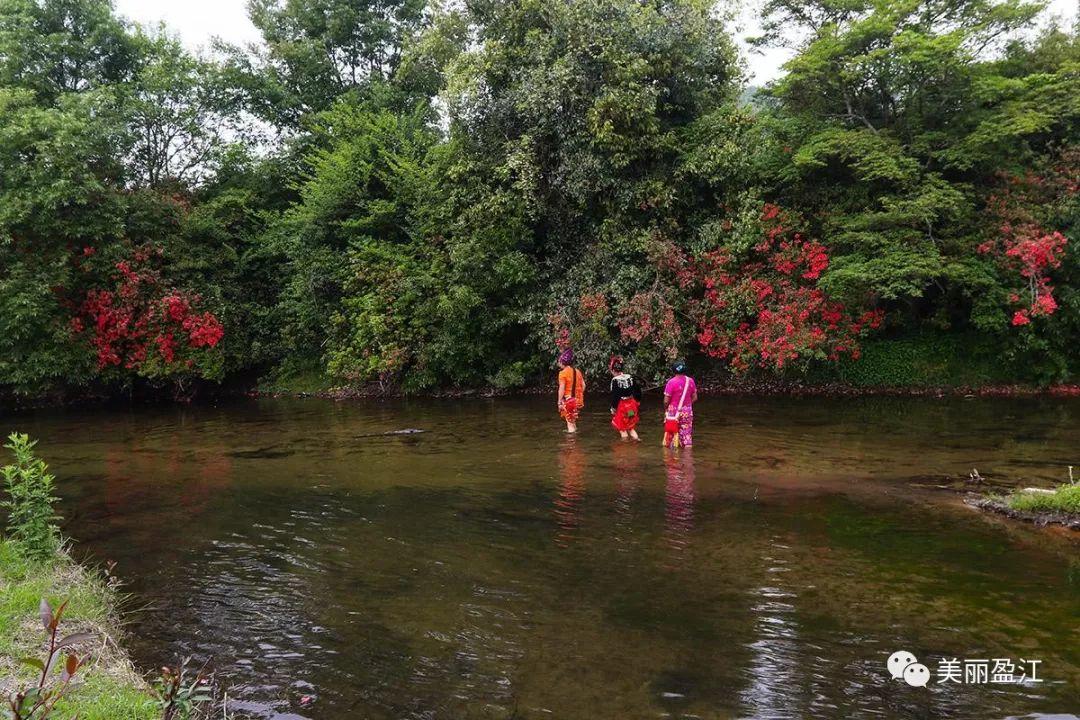 无言歌 风樱雪，求重生父子耽美小说（4月17日“山歌高手”将聚盈江昔马）