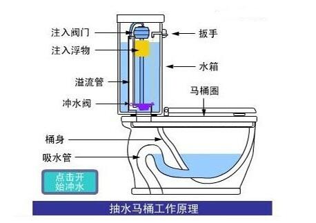 馬桶內部結構圖清晰,馬桶下面的管道結構圖