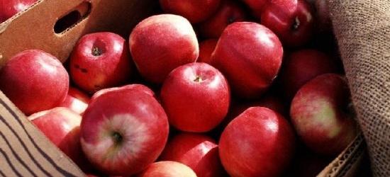 苹果的营养成分含量及作用，长期吃苹果有什么好处