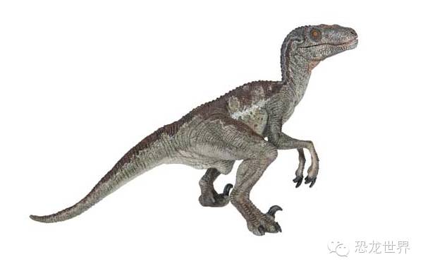 谁知道白垩纪有哪些食肉恐龙,白垩纪的肉食性恐龙有哪些(敏捷而快速的