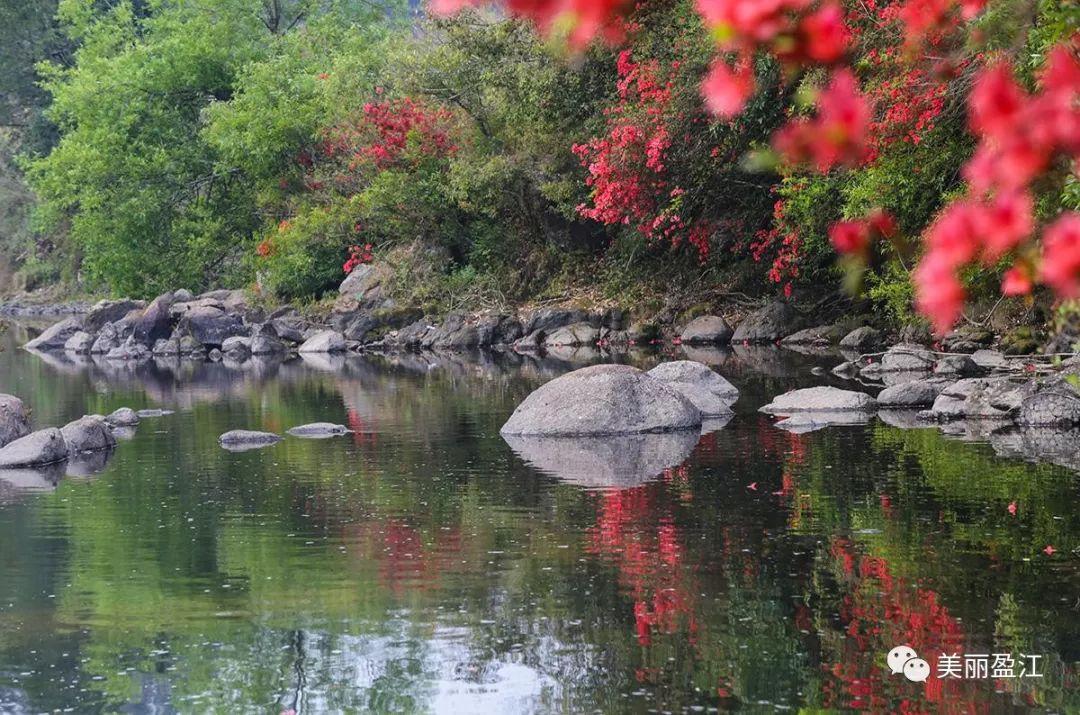 无言歌 风樱雪，求重生父子耽美小说（4月17日“山歌高手”将聚盈江昔马）