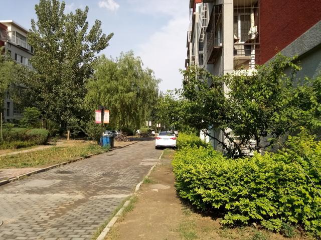 金立手机哪一款比较好用，全金属带来超高颜值