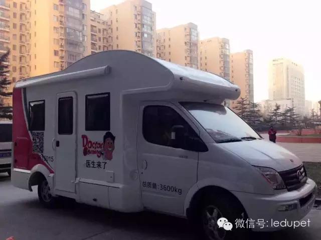 卡斯罗裁耳多少钱 卡斯罗犬怎么看纯不纯种怎么分别