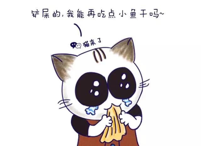 火车托运宠物，如何通过火车托运宠物（火车托运宠物到站多长时间能接）