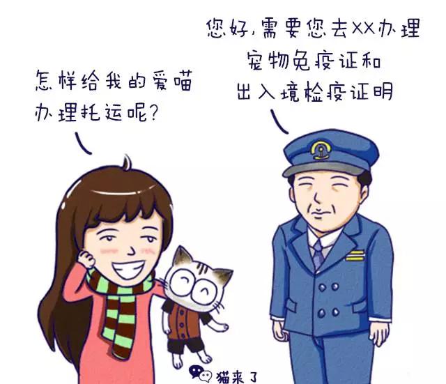 火车托运宠物，如何通过火车托运宠物（火车托运宠物到站多长时间能接）