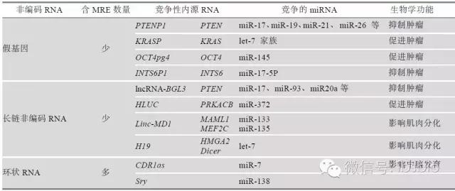 cerna，cerna机制（ceRNA：从机制到功能）