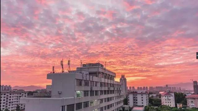 集美大学是一本吗，集美大学是985还是211（中国最美大学丨厦门集美大学）