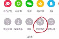 抖音动态壁纸怎么设置，用自己的视频设置动态壁纸