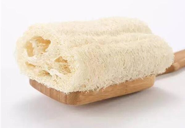 丝瓜络煮水的功效，丝瓜络加陈皮煮水功效（丝瓜络的功效与作用有哪些）