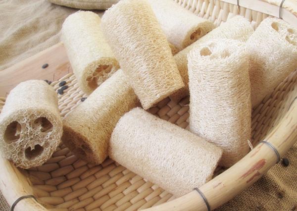 丝瓜络煮水的功效，丝瓜络加陈皮煮水功效（丝瓜络的功效与作用有哪些）