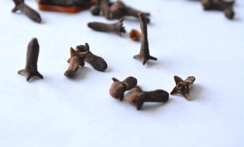 丁香叶的功效与作用，丁香有什么功效与作用（丁香的营养价值和药用价值）