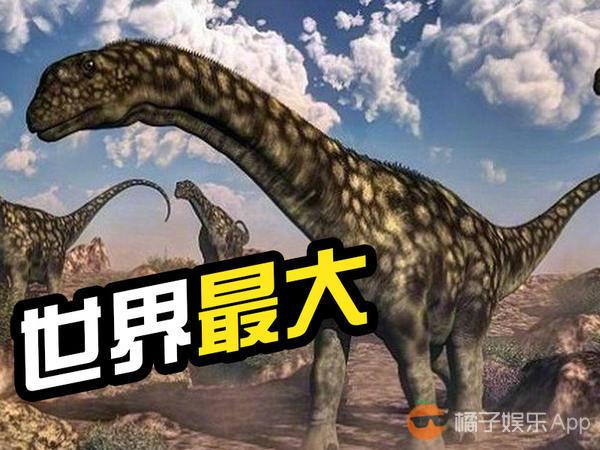 阿根廷惊现史上最大恐龙化石，体型超越已知所有物种，刷新古生物学纪录。