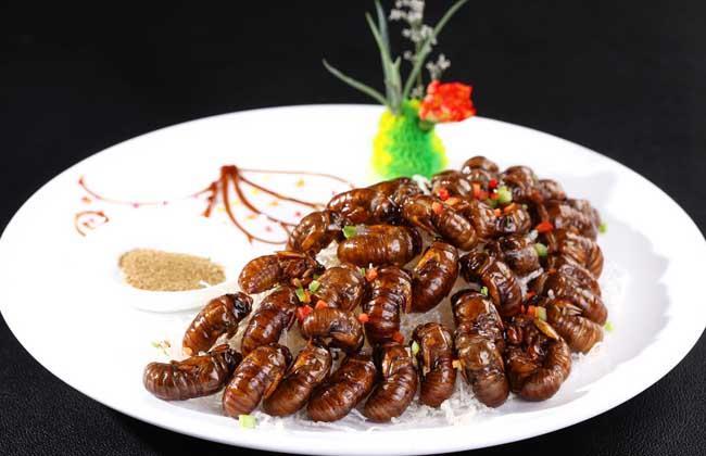 蚕蛹是什么的幼虫，蝉蛹的养殖方法（蝉蛹是什么东西）