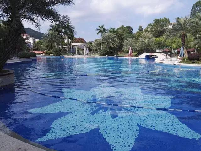 惠州红花湖水上乐园,惠州红花湖有什么好玩(惠州市区游泳池都在这)