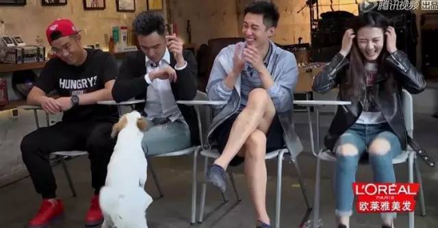 说声再见心盘起缠绵眷恋千百般，缠绵眷恋千百般是什么歌词（不跟MC互动的汪星人不是好嘉宾）