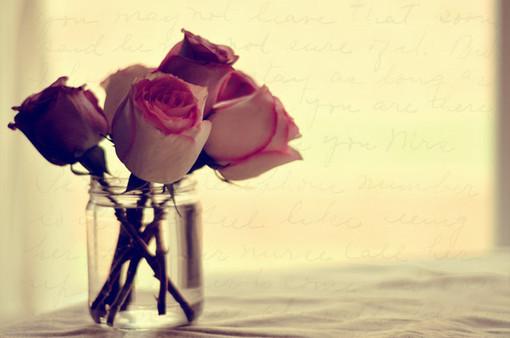 花可以放冰箱保鲜吗，花可以放冷藏吗（爱人送的鲜花这样保存）