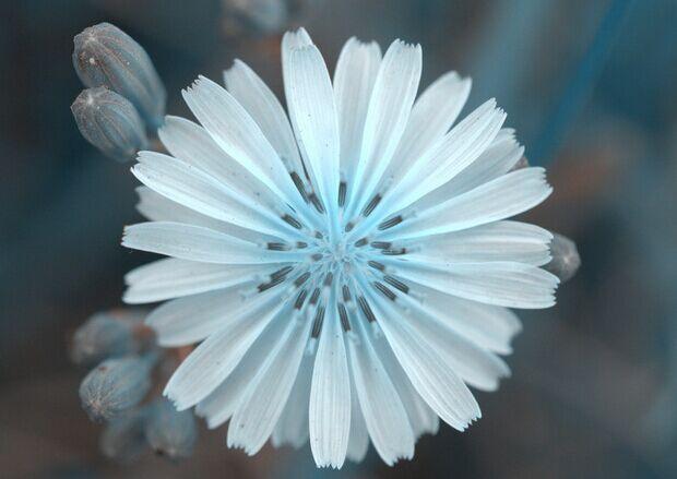 属猴的今年多大2022年，2022年属猴的多大年龄（未来5年霉运最少）