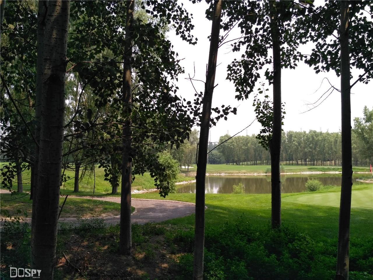 红米3s怎么样，红米3s为什么发不出去短信啊（8+指纹识别+4100mAh电池）