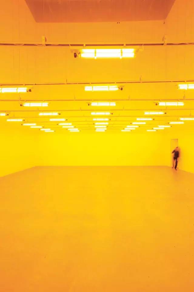 lca是什么意思，汽车lca是什么功能（奥拉维尔·埃利亚松）