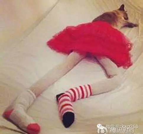 如何一秒变大长腿，一款可以制作长腿照片的软件（如何一秒变大长腿女生）