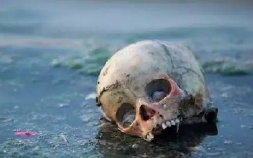 眼镜蛇风水代表什么，传说中最恶毒的三大诅咒