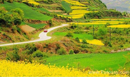 丽江橡树园客栈详细介绍，丽江乌托邦客栈（一个人的梦游仙境--丽江）