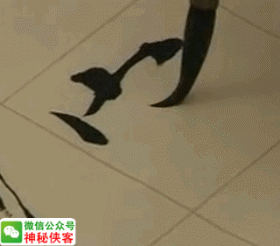 三点水加个心，三点水加个心念什么（你的欧体成功90%）