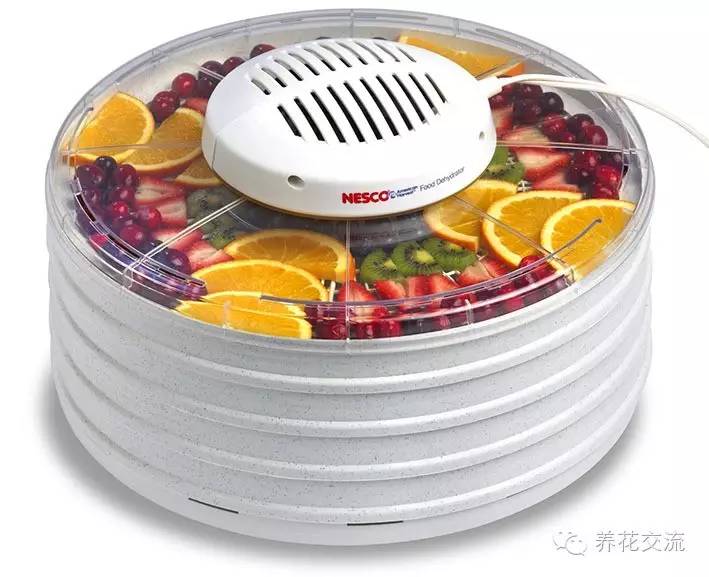 薰衣草怎么做干花，干花制作居然这么简单