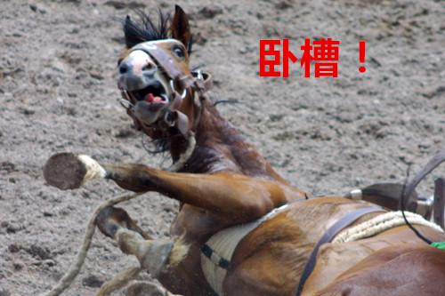 疯狂动物园都有什么野牛，疯狂动物园都有什么野牛的（西部牛仔竞技——人兽大战下的血腥杀戮）