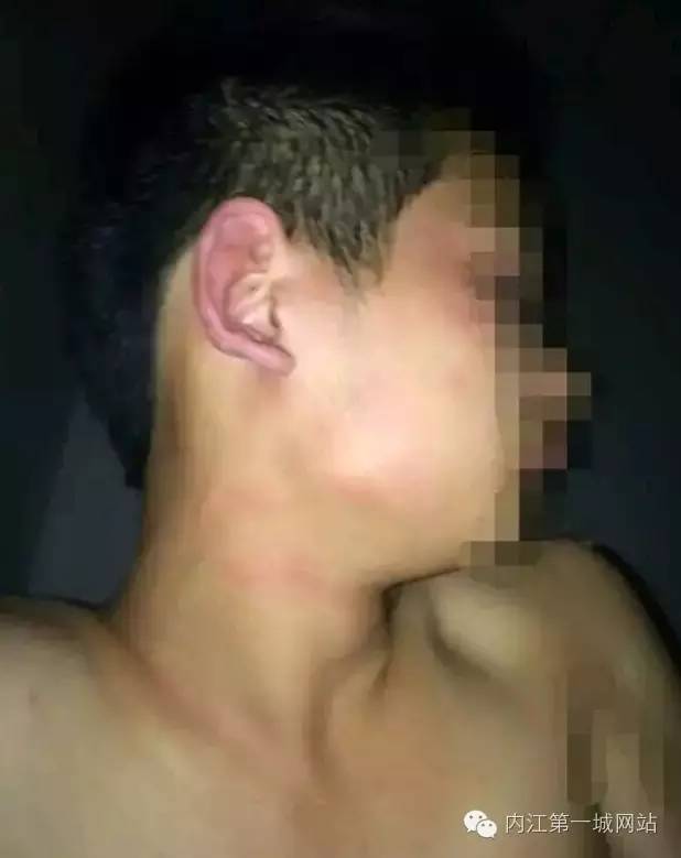 关于茶黄毒蛾介绍，黄绿枯叶蛾有毒吗（内江威远惊现黄色有“毒”飞蛾）