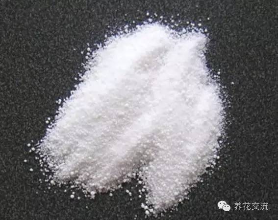 薰衣草怎么做干花，干花制作居然这么简单