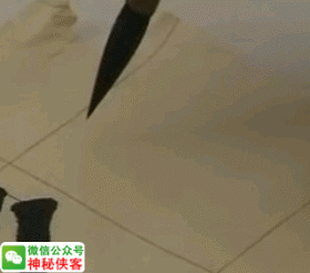 三点水加个心，三点水加个心念什么（你的欧体成功90%）
