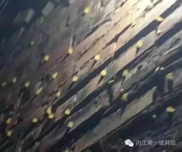 关于茶黄毒蛾介绍，黄绿枯叶蛾有毒吗（内江威远惊现黄色有“毒”飞蛾）