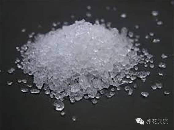 薰衣草怎么做干花，干花制作居然这么简单