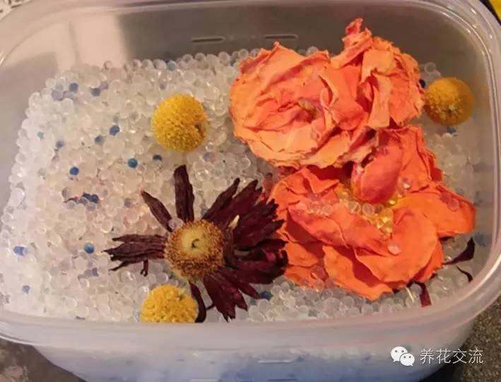 薰衣草怎么做干花，干花制作居然这么简单